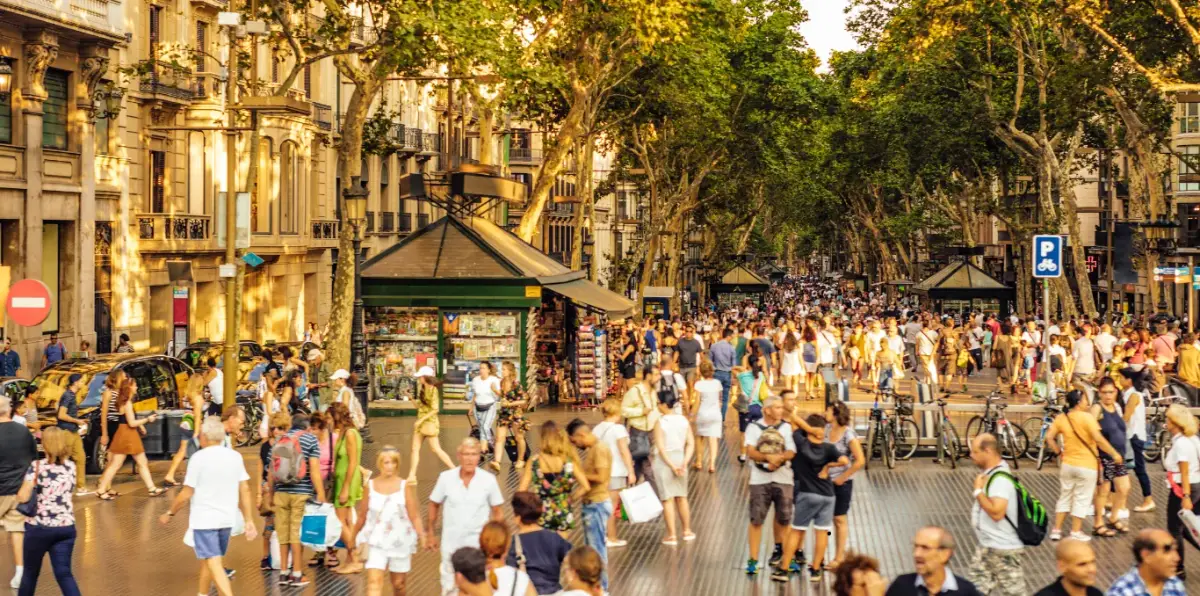 Un de cada quatre arbres de Barcelona és un plàtan