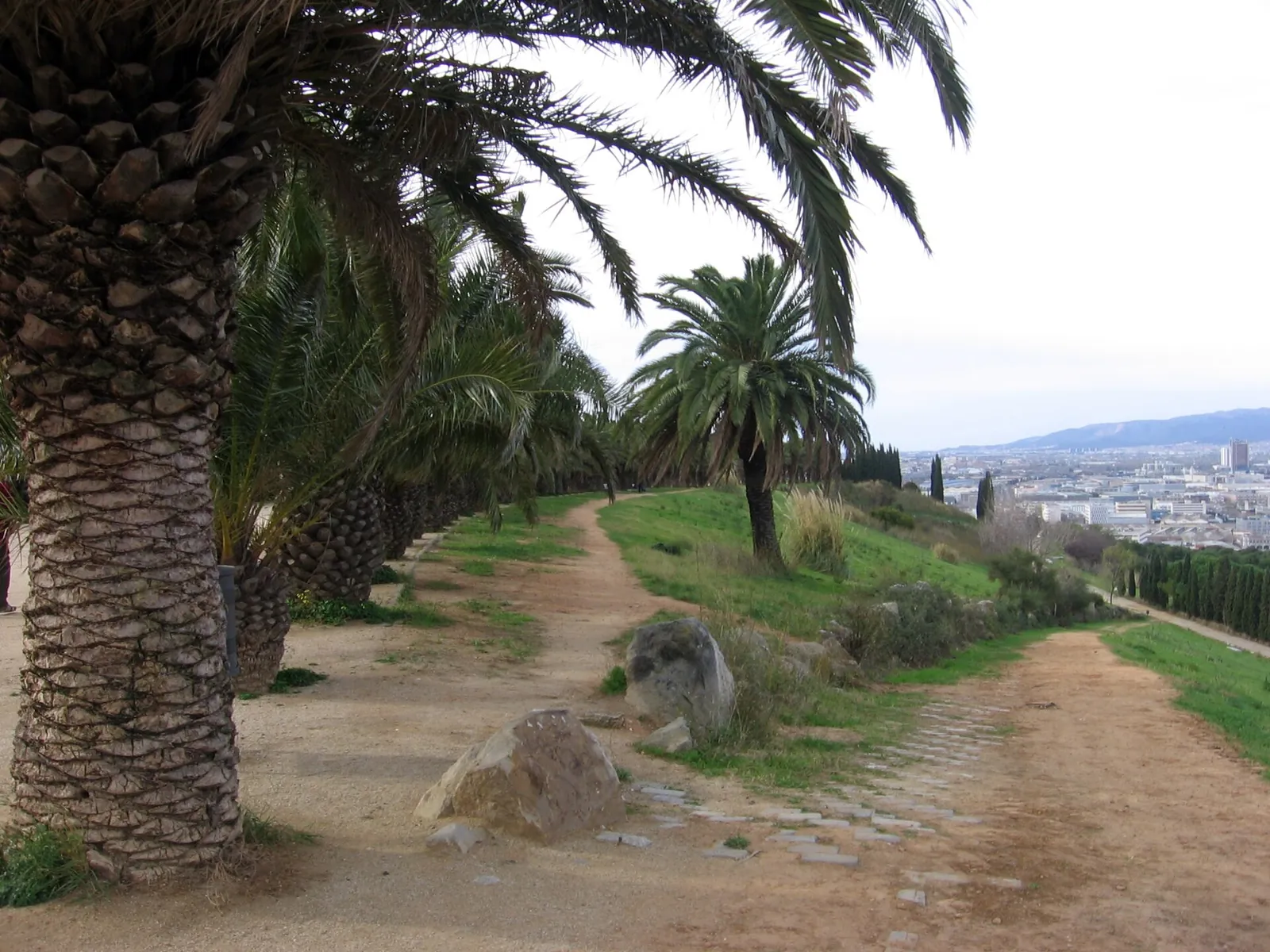 Camino entre palmeras en el Parc del Mirador del Migdia, en Montjuïc, con la ciudad al fondo